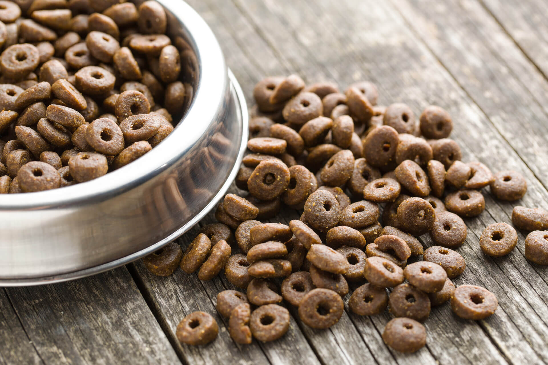 Pet food